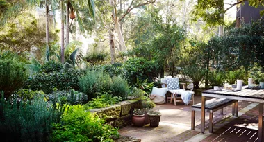 Outdoor garden with a wooden table and chairs, surrounded by lush greenery and tall trees.