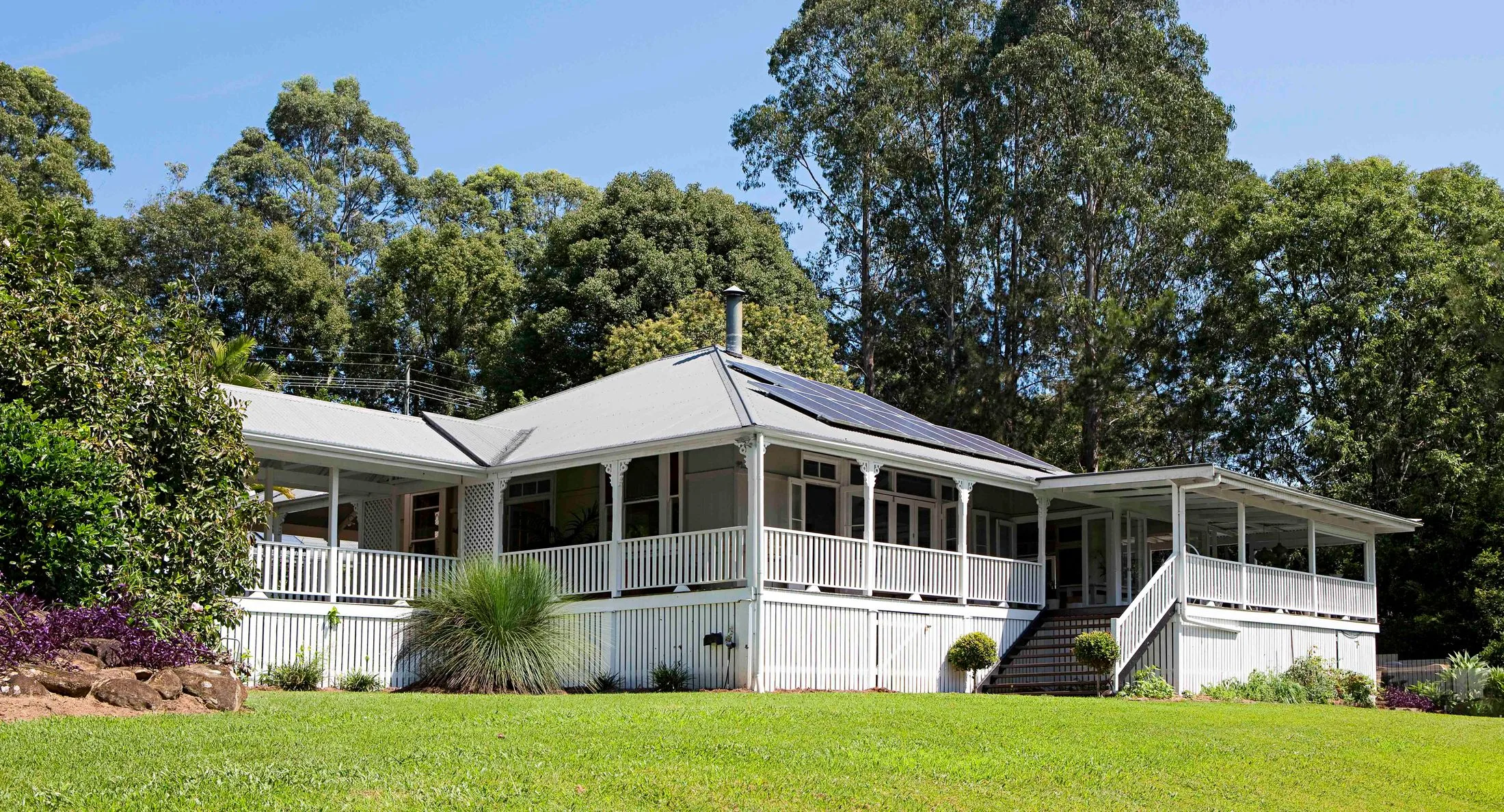 How to pick the perfect type of lawn for your location