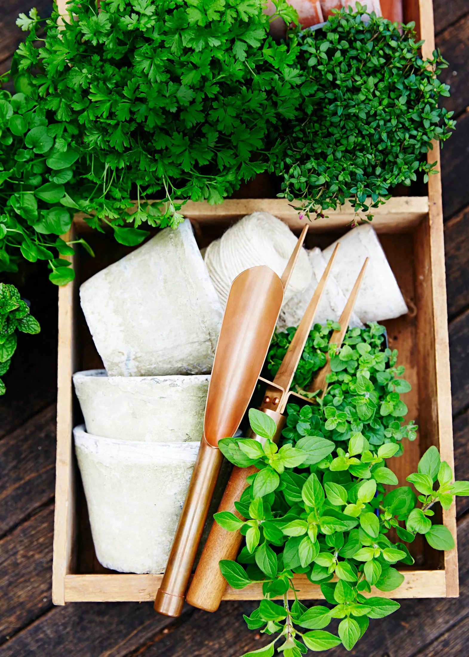 A herb garden.