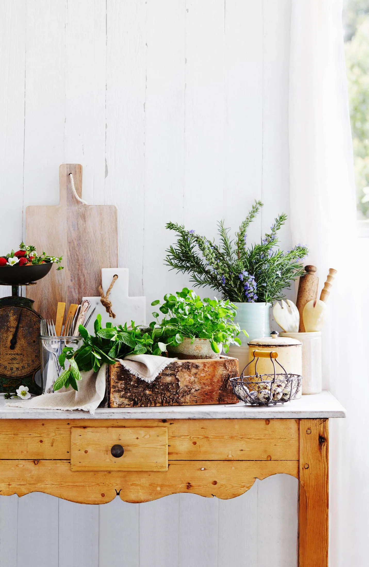 Herbs on a table. 