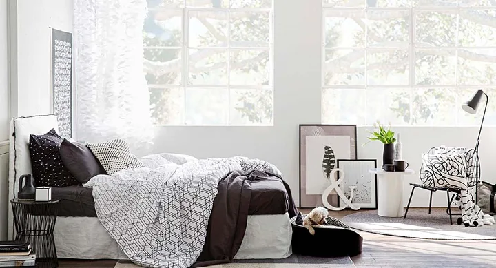 Cozy bedroom with patterned bedding, a small dog, framed art, and a chair by large windows.