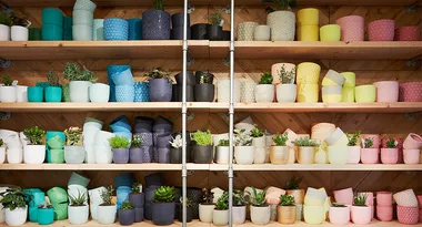 Colorful plant pots and succulents arranged on wooden shelves.