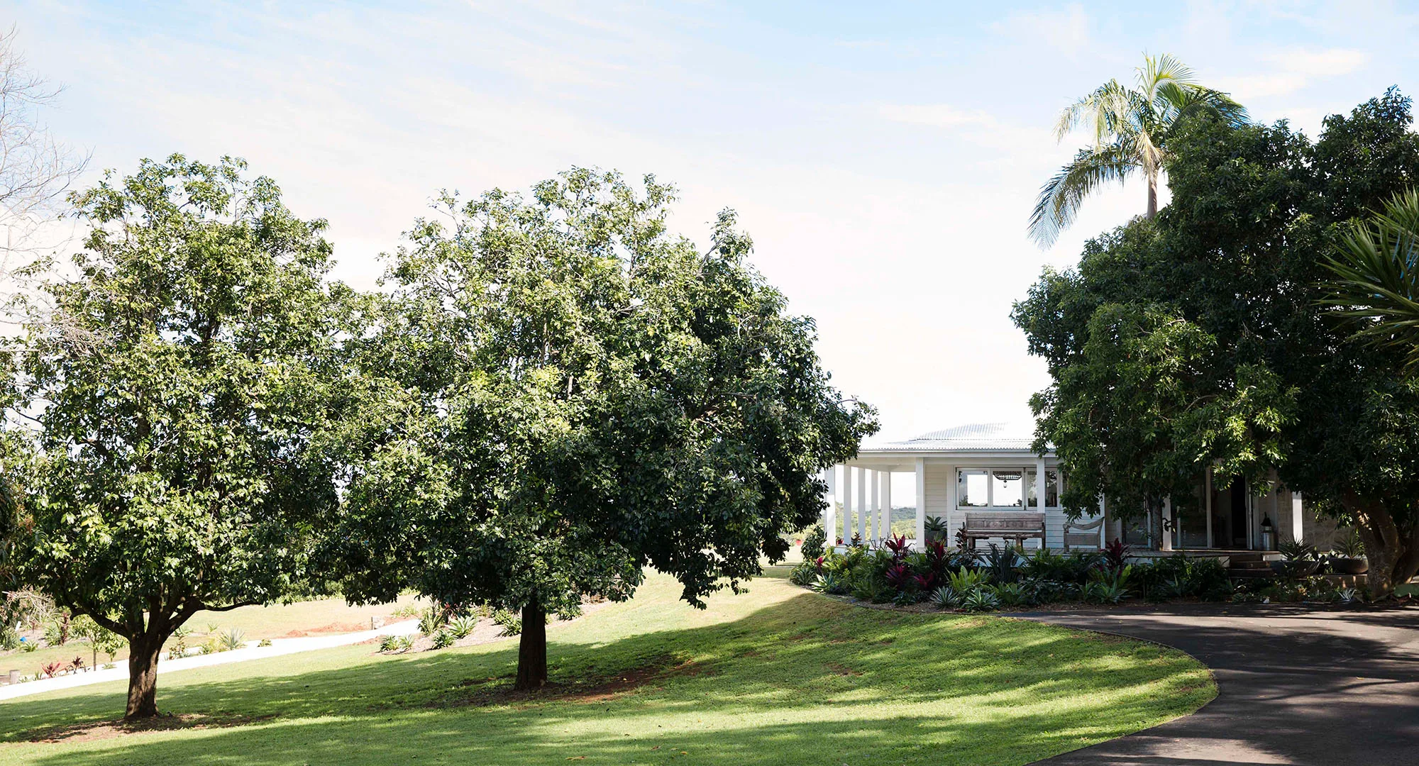 A scenic view of a white house surrounded by large leafy trees, set against a clear sky and green lawn.