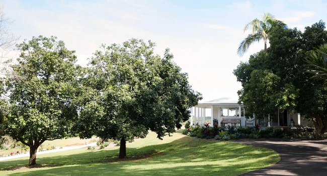 A scenic view of a white house surrounded by large leafy trees, set against a clear sky and green lawn.