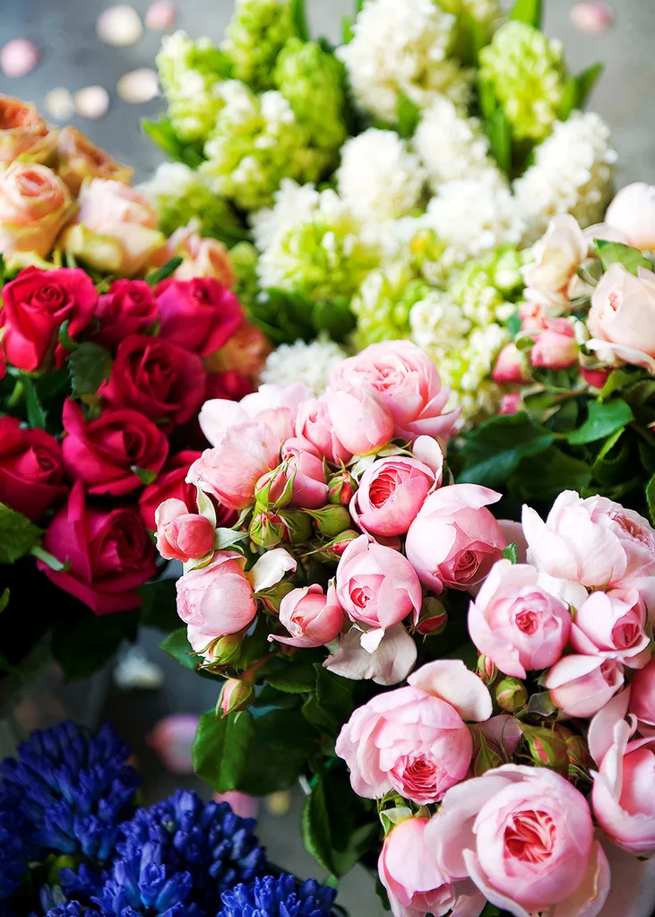 flowers