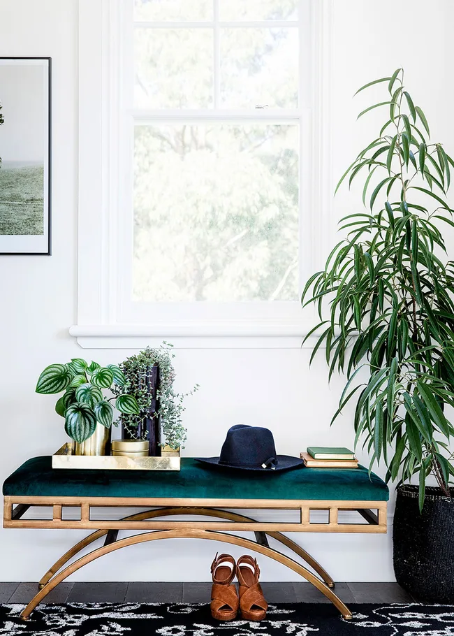 Bench with green cushion, hat, and plants in a bright room with a window; shoes are on the floor below.