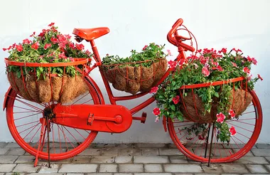 The top seven intriguing gardens across the globe