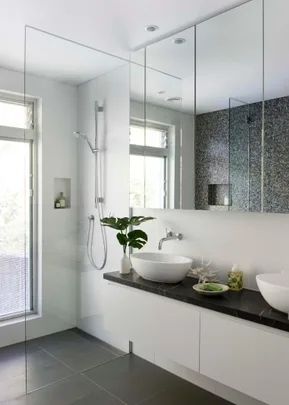 Modern bathroom with a walk-in shower, vessel sink, mirrored cabinets, and decorative plants.
