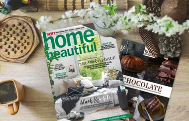 Magazines on a table: "Home Beautiful" focusing on home decor and a chocolate-themed issue, surrounded by pinecones and flowers.
