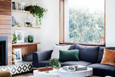 5 winning ways to hero indoor plants