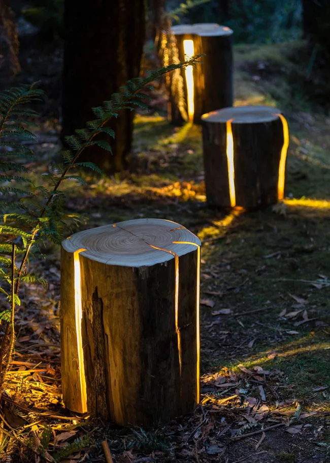 Tree stumps illuminated from within on a woodland path at dusk.