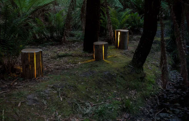 Logs carved with glowing cuts in a forest setting, surrounded by ferns and moss.