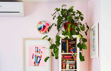 A room corner with a potted plant on a shelf, colorful art on pink walls, air conditioner above, and books neatly arranged.