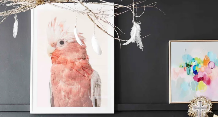 Artistic room decor with a framed bird portrait and abstract painting on a black wall, feather decorations hang above.
