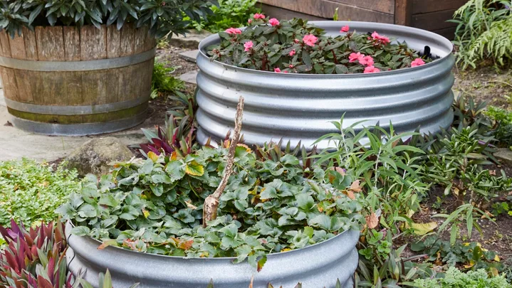 two raised garden beds made out of corrugated iron