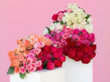 bunches of rose bouquets in red white orange and pink on small white pedestals
