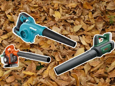 image of dead leaves with superimposed deep etch images of three leaf blowers on top