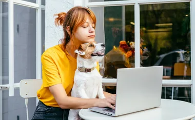 A woman in a yellow shirt sits with a dog on her lap, using a laptop at an outdoor café.