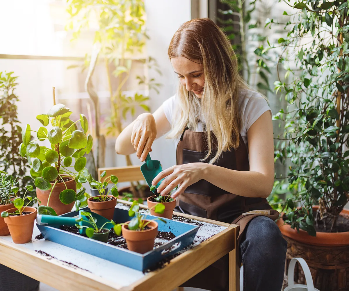 best plants for balconies
