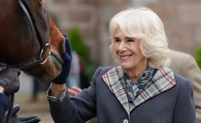 A smiling woman in a grey coat gently touching a brown horse's face.