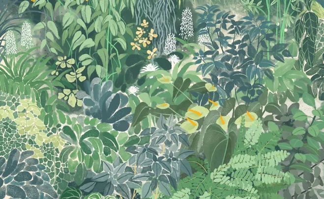 Illustration of various green plants with diverse leaf shapes and some blooming flowers, giving a lush tropical garden feel.