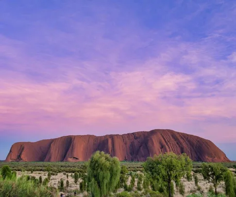 Uluru at sunset with a vibrant pink and purple sky, surrounded by greenery in the foreground.