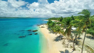 Aerial view of a tropical beach with turquoise water, palm trees, and a clear blue sky.