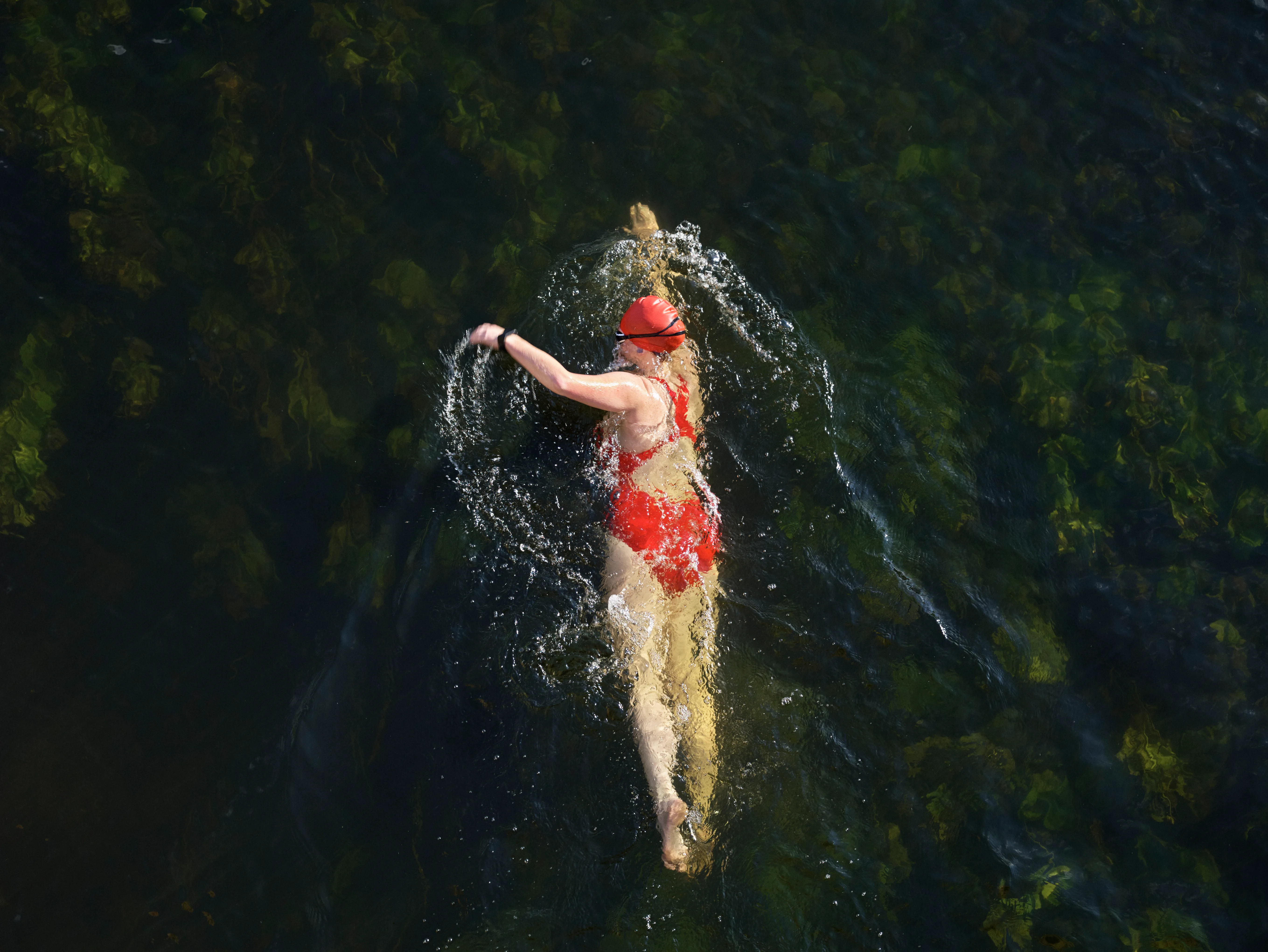 UK, Bedfordshire, Great Barford, River Great Ouse, female wild swimmer swimming in a river