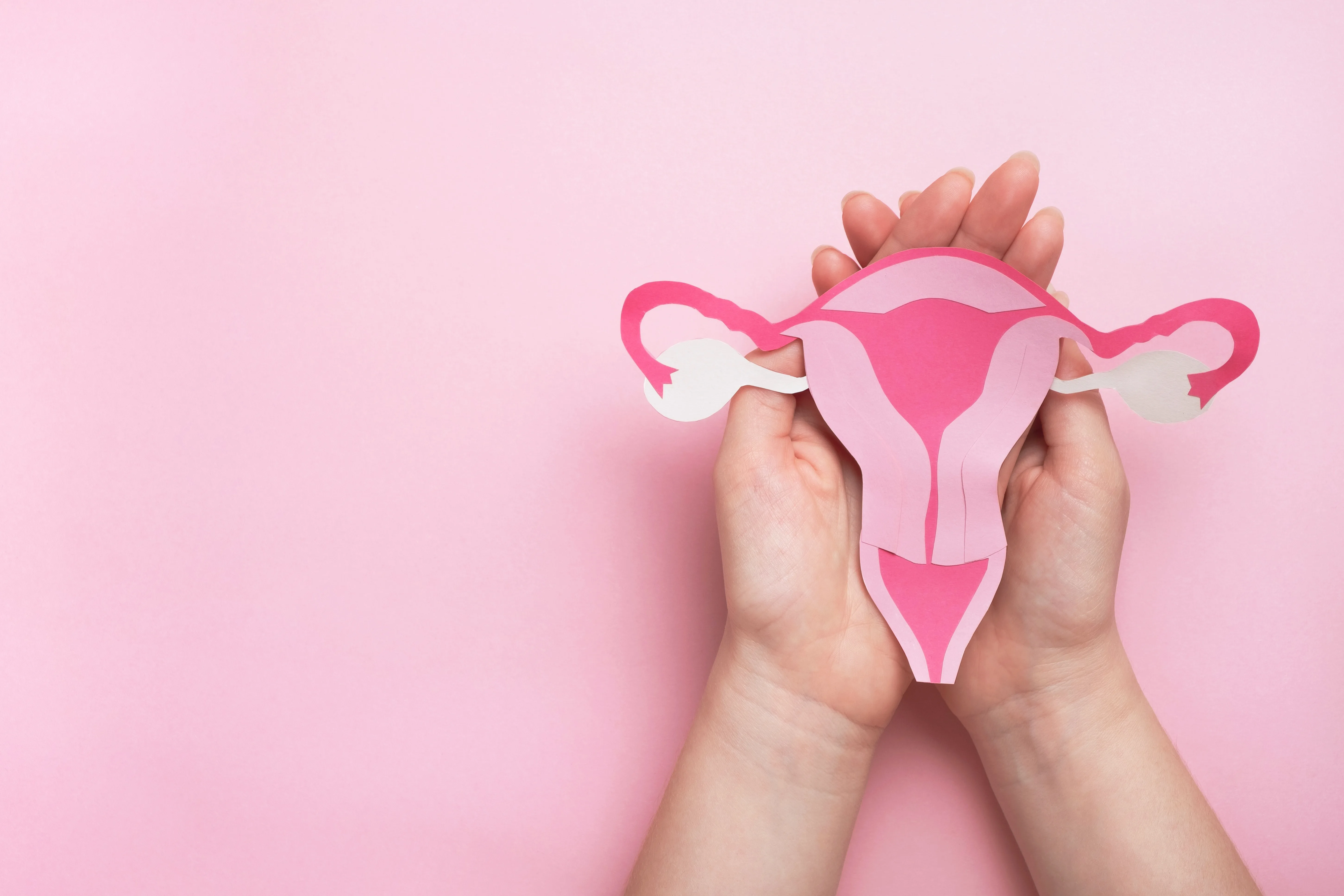 Woman hands holding decorative model uterus on pink background. Top view, copy space.