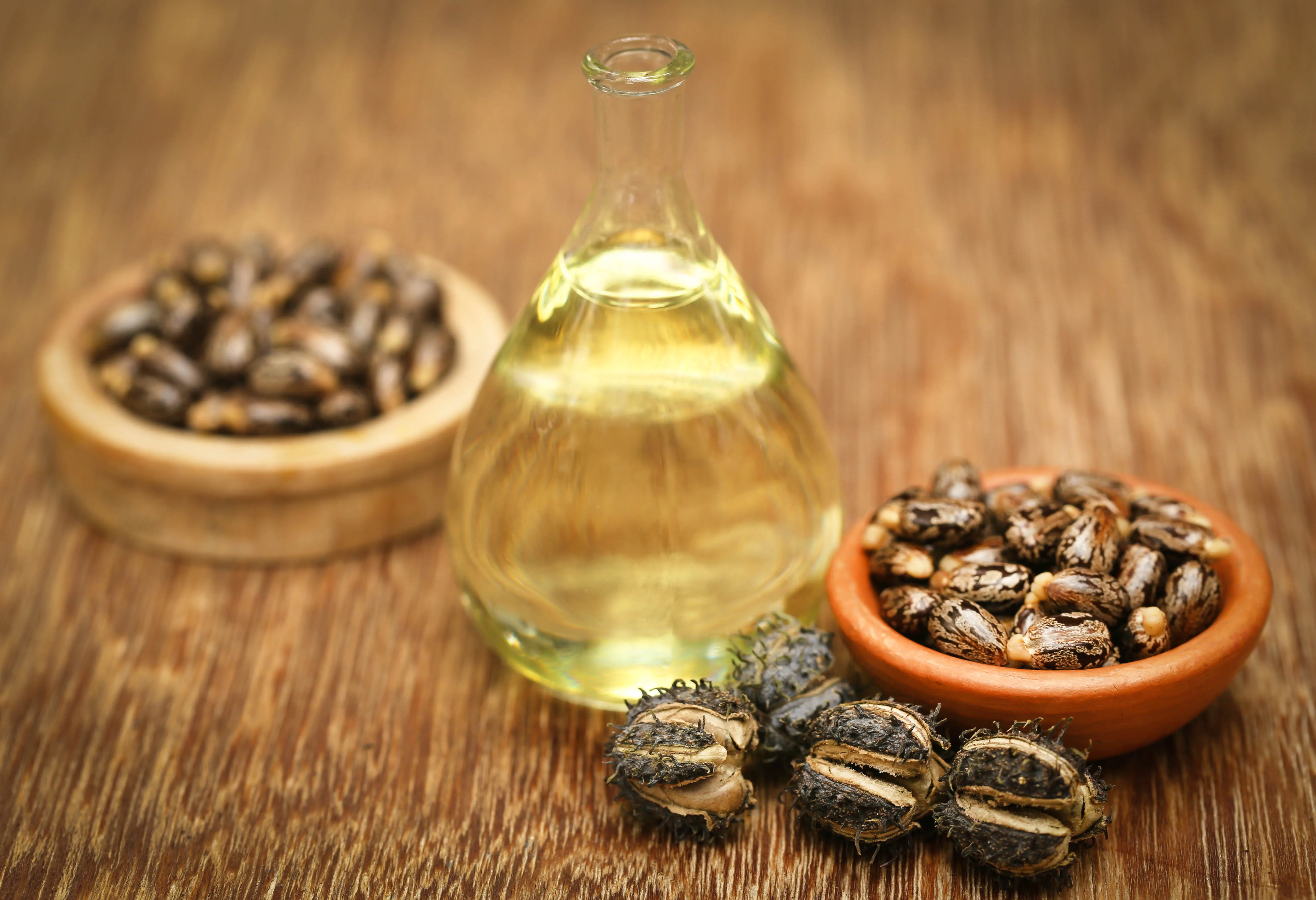Castor beans and oil in a glass jar.