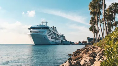 cruise ship docked near tropical land