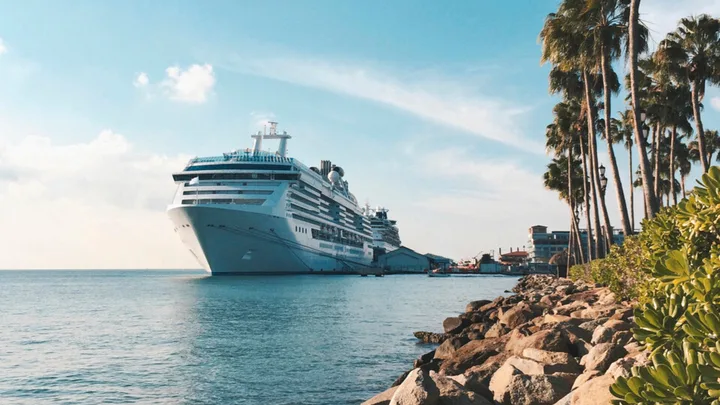 cruise ship docked near tropical land