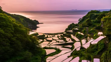 The setting sun reflects on the rice fields of Hamanoura Tanada