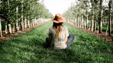 Person sitting on grass, wearing a brown hat, looking at rows of trees in an orchard.