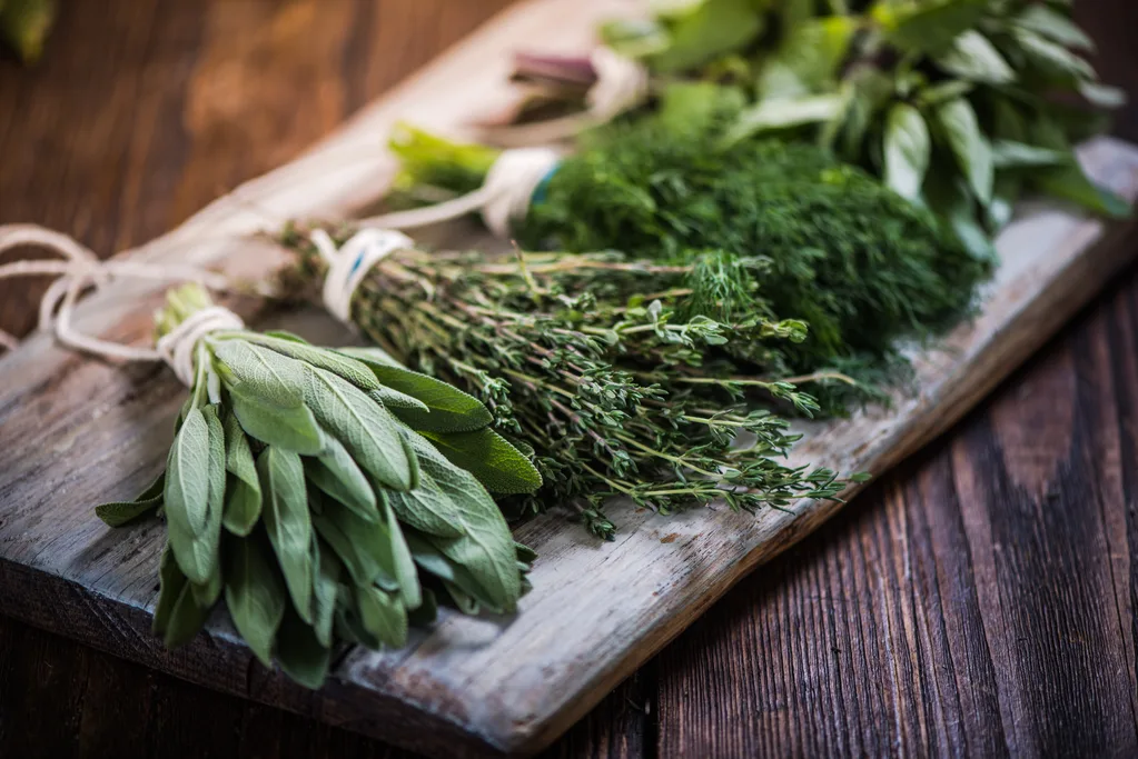 Basil,sage,dill,and thyme herbs on wooden board preparing for winter drying