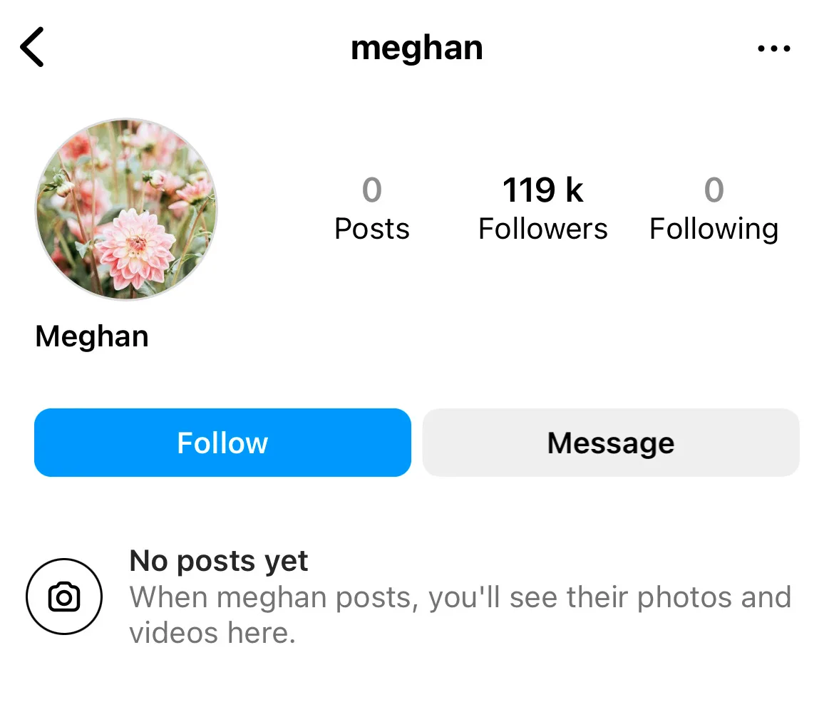 A screenshot of the account many think is Meghan Markle's Instagram.