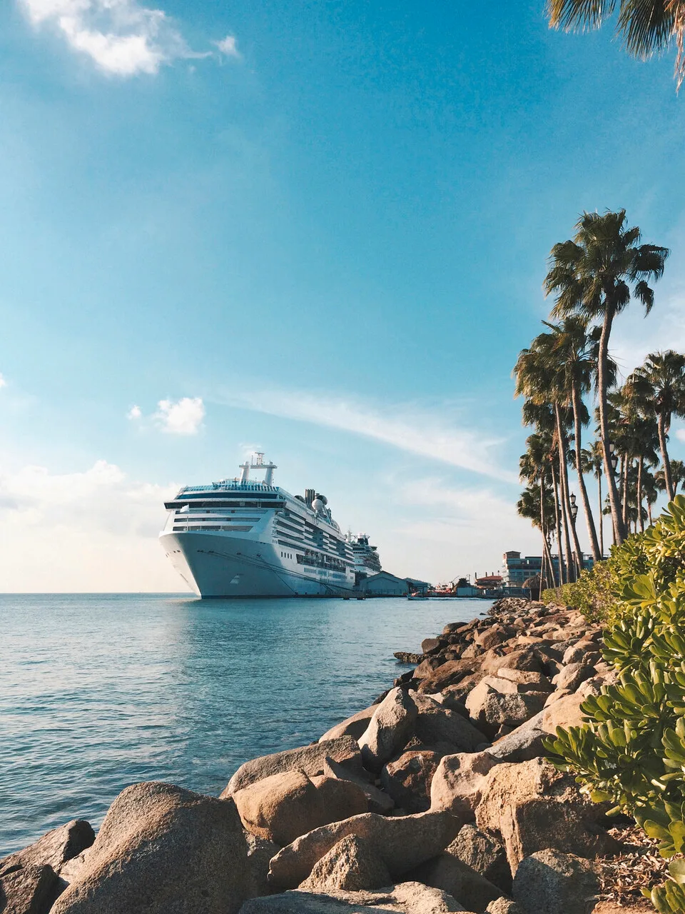 cruise ship docked near tropical land