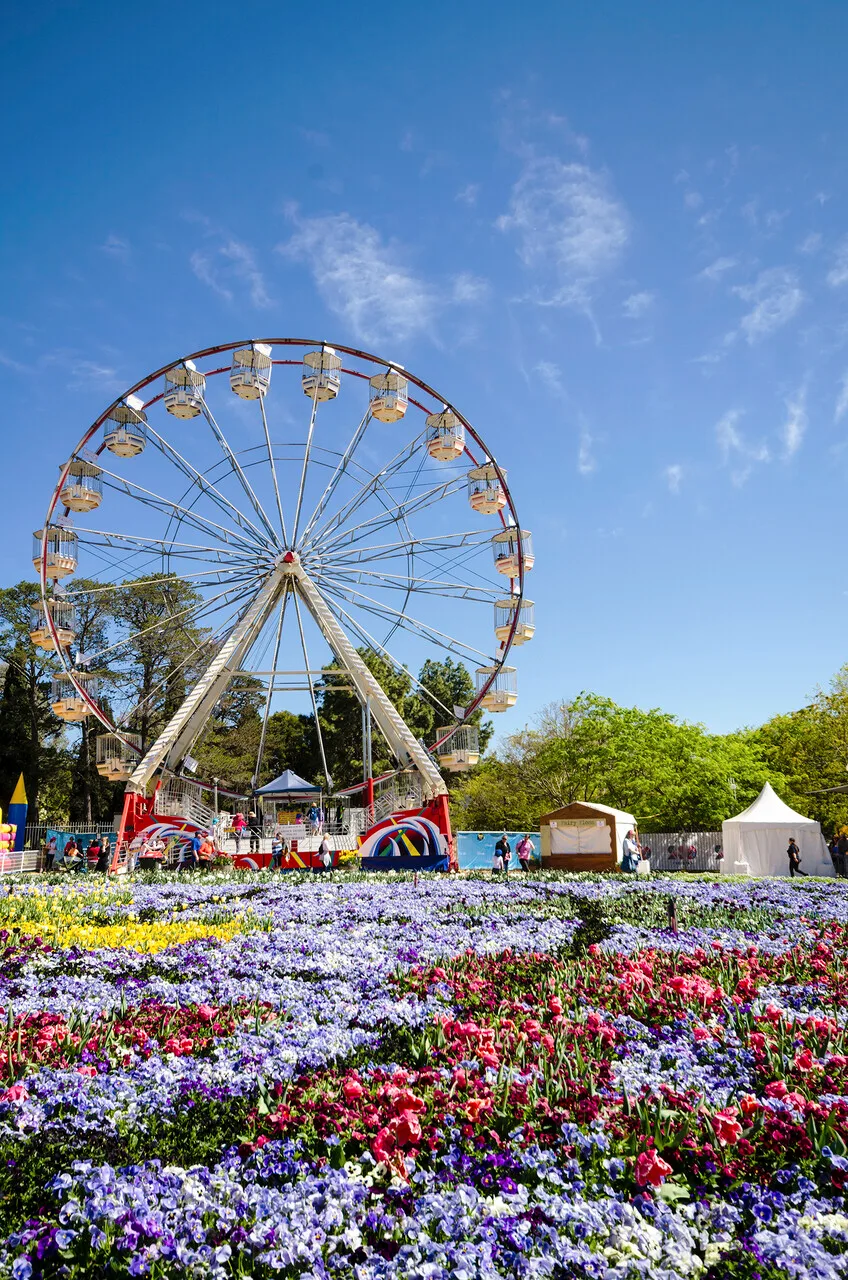 The ferris wheel at Floriade, the annual Canberra spring festival.