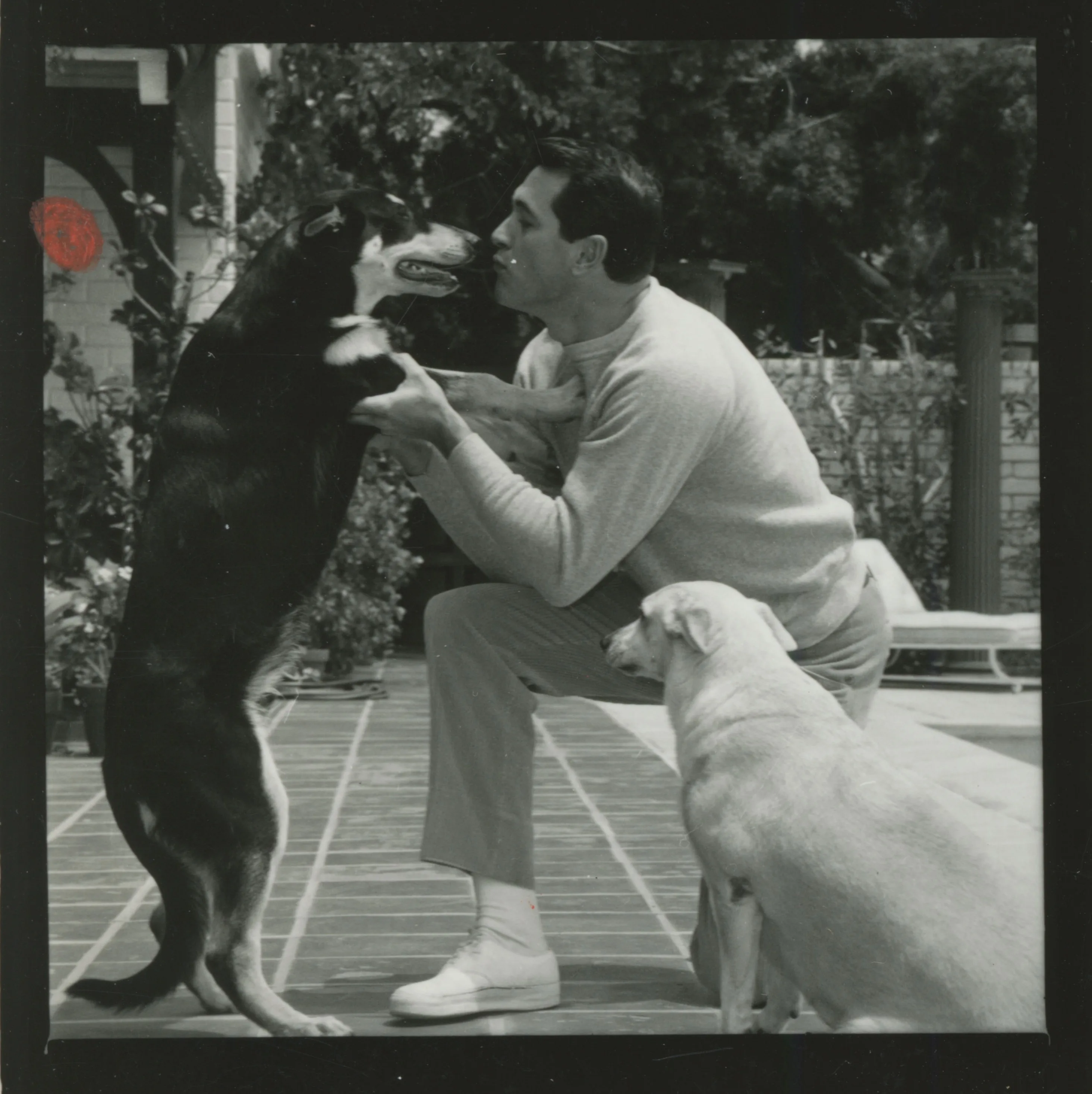 Rock Hudson and his dog
