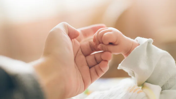 Adult hand holding a baby's tiny hand, symbolizing care and protection.