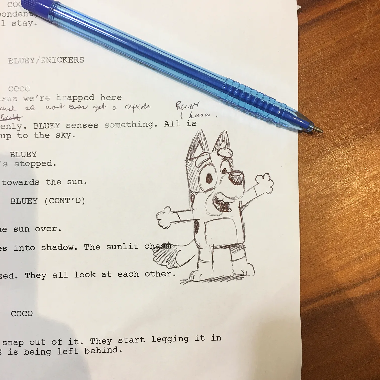 A Bluey sketch on a script from the Ludo team
