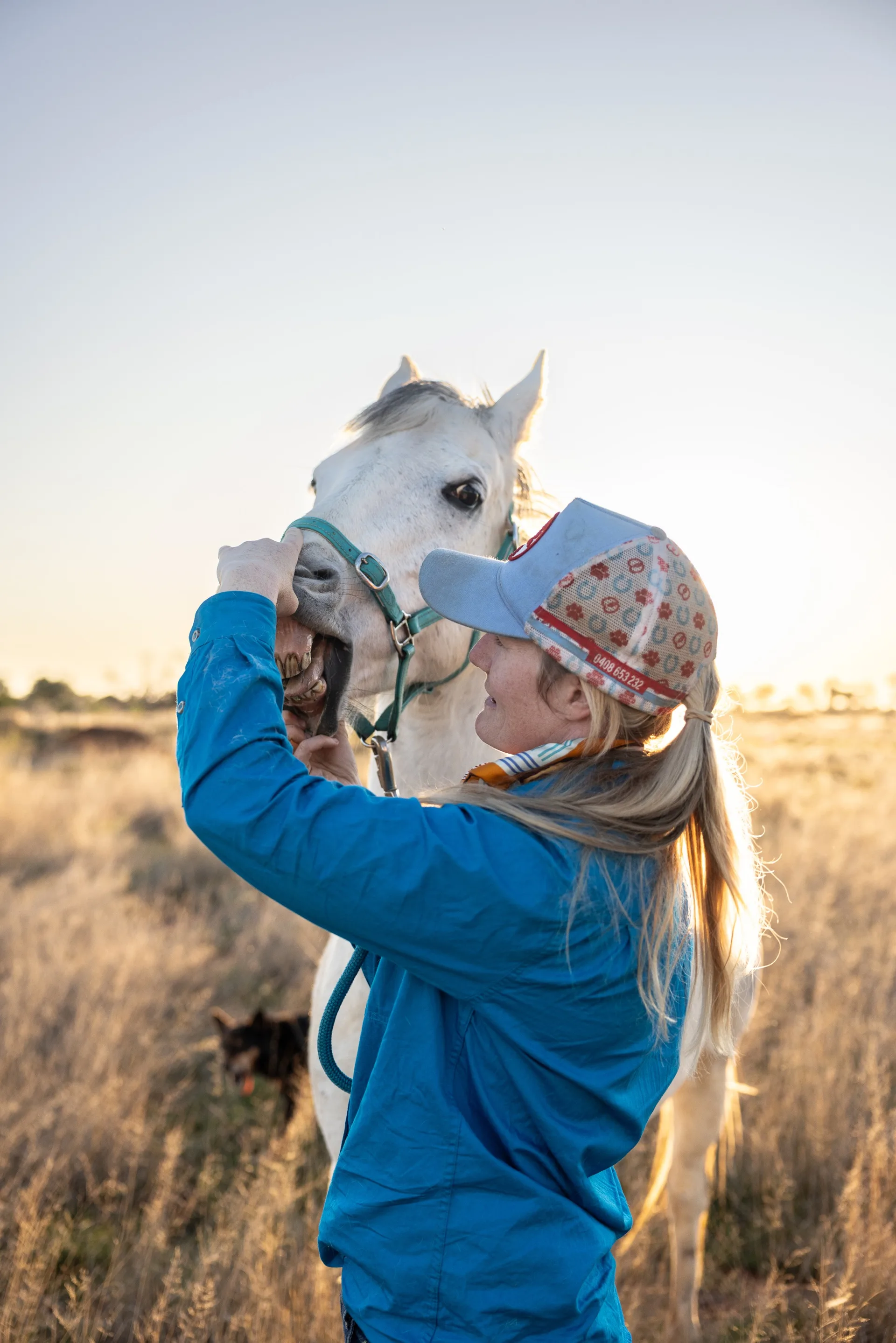 The Flying Very Ameliah Scott with a horse