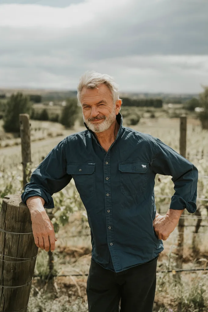 Man with gray hair and beard, wearing a blue shirt, leans on a wooden post in a vineyard on a cloudy day.