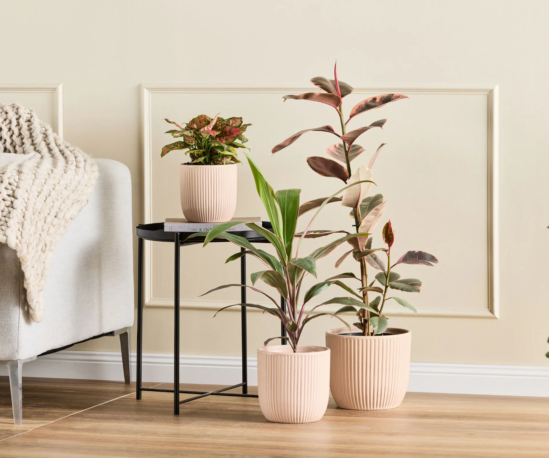 Cluster of plants in pink pots