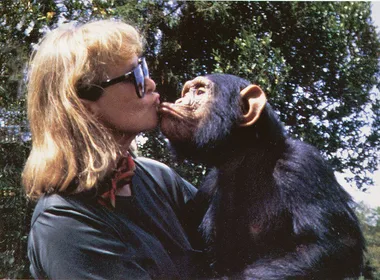 Jan Latta kissing a chimpanzee