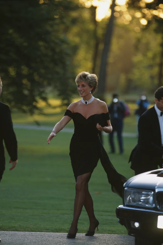 Princess Diana Revenge Dress