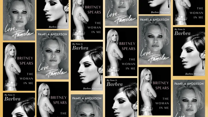 Celebrity memoirs britney spears prince harry barbra streisand