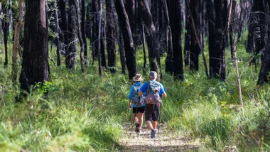 Two hikers with backpacks walk through a lush green forest trail surrounded by tall trees.
