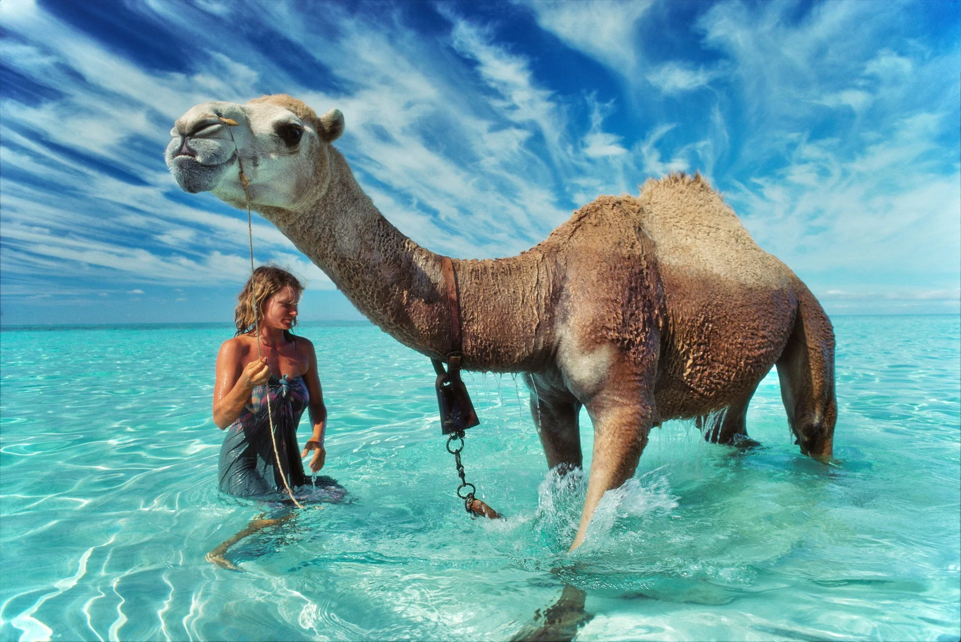 Robyn Davidson and a camel in the water