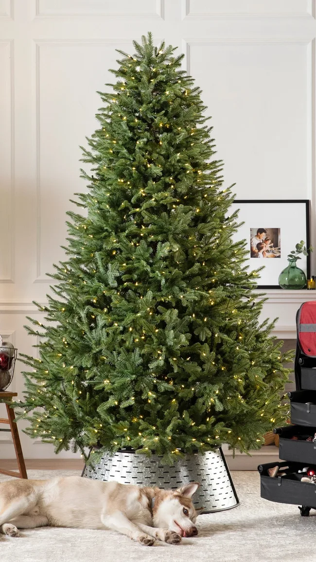 A decorated Christmas tree with lights stands in a room; a dog lies on the floor in front of it.